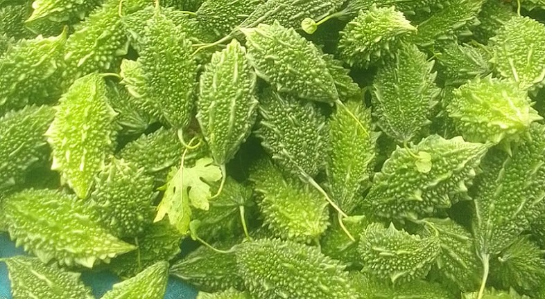 সুস্বাদু করলার