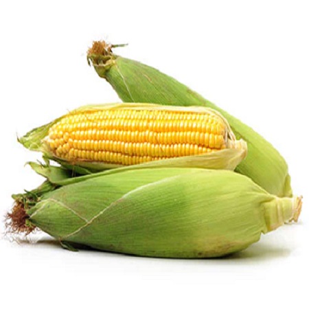 Organic Sweet Corn