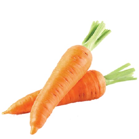 Organic Carrot